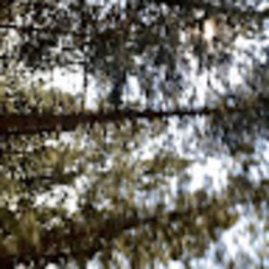 Meet your Posher, Cassidy